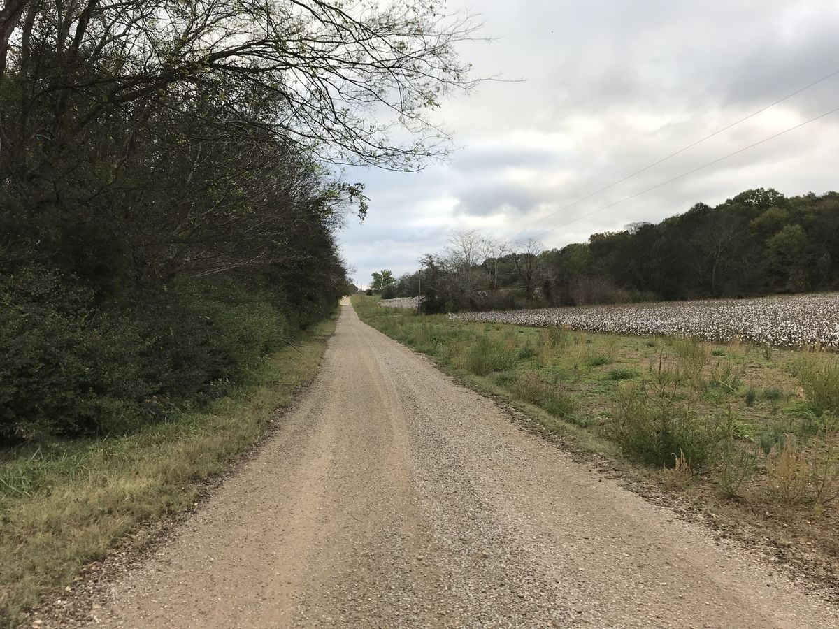 View to east along road near the state line, with Tennessee on left, Alabama on right. 