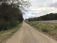 #9: View to east along road near the state line, with Tennessee on left, Alabama on right. 