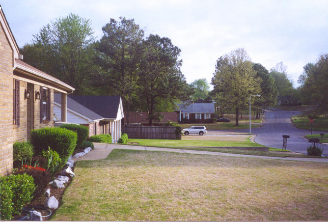 Looking North across confluence point