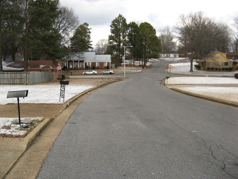 View north looking at our cars parked on the street.