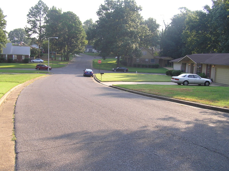 View to the east from the confluence.