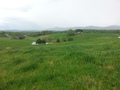 #6: View back down toward the blue gate