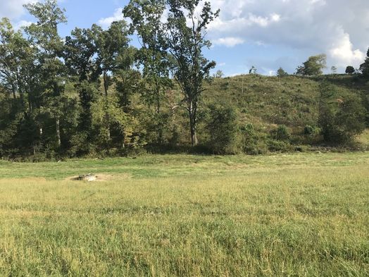 #1: Site of 36 North 83 West, in mid-distance, just to the right of the center, looking south. 