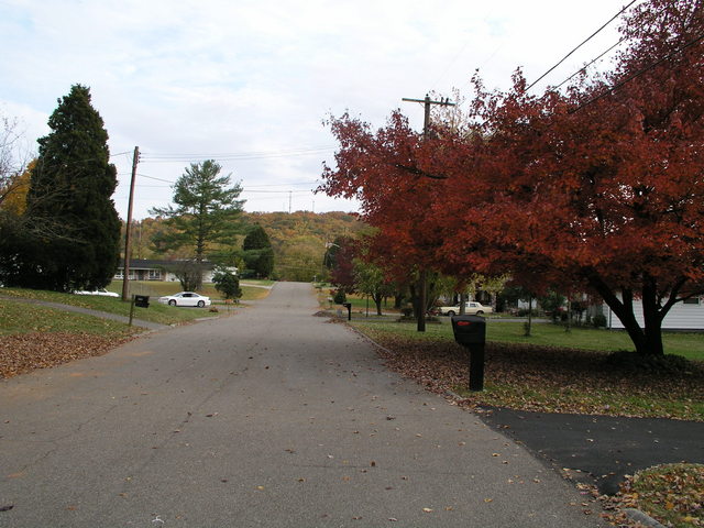 Fall color as seen looking to the southeast from 5809 Stoneleigh Road.