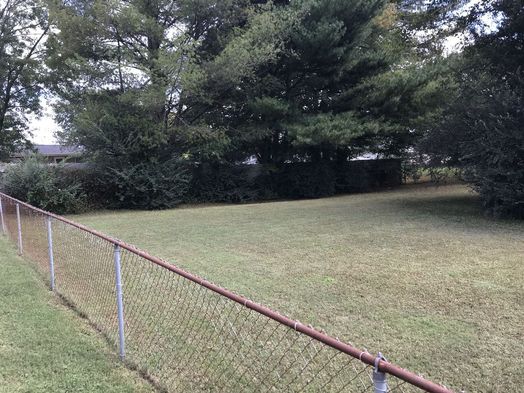 #1: Site of 36 North 84 West, on the right side of the fence, in the shrubs, mid-distance, looking northeast. 