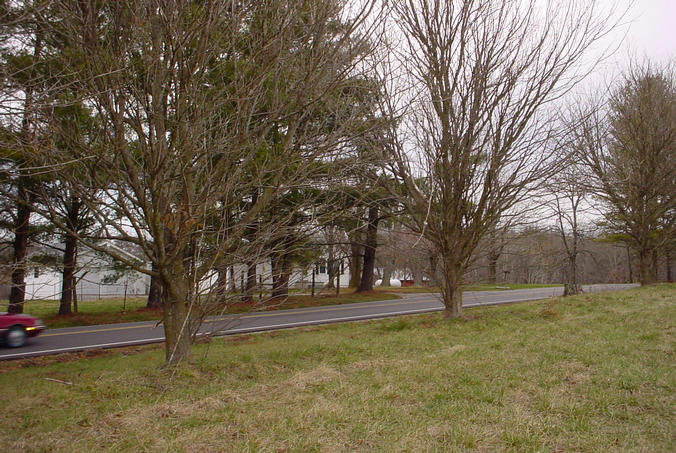 Looking North along Genesis Road