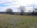 #3: Rolling field are seen looking east from 36N 85W.