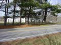 #5: Pine trees partially block the view of the house to the east of 36N 85W.