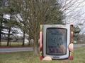 #6: The GPS unit showed 10 zeroes within reach of the CP "marker tree."