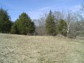 #3: Looking NW from the confluence point with cedar trees