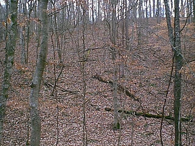 Looking east at one of the climbs.