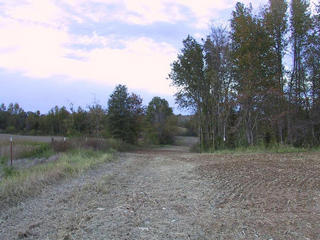 #1: Looking North From Confluence Point