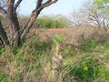 #5: Prickly pear cactus 30 feet (9 meters) northwest of the confluence