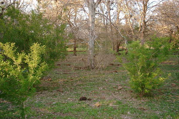 Looking North from the confluence.