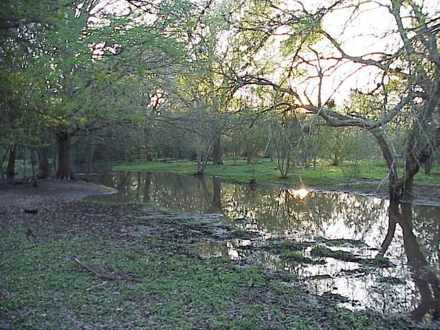 Looking southwest from the wet area about 30 meters north of the confluence.