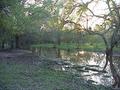 #7: Looking southwest from the wet area about 30 meters north of the confluence.