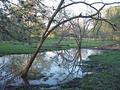 #8: Looking northeast from the wet area about 30 meters north of the confluence.