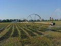 #4: We came across a sod farm on the approach from the north