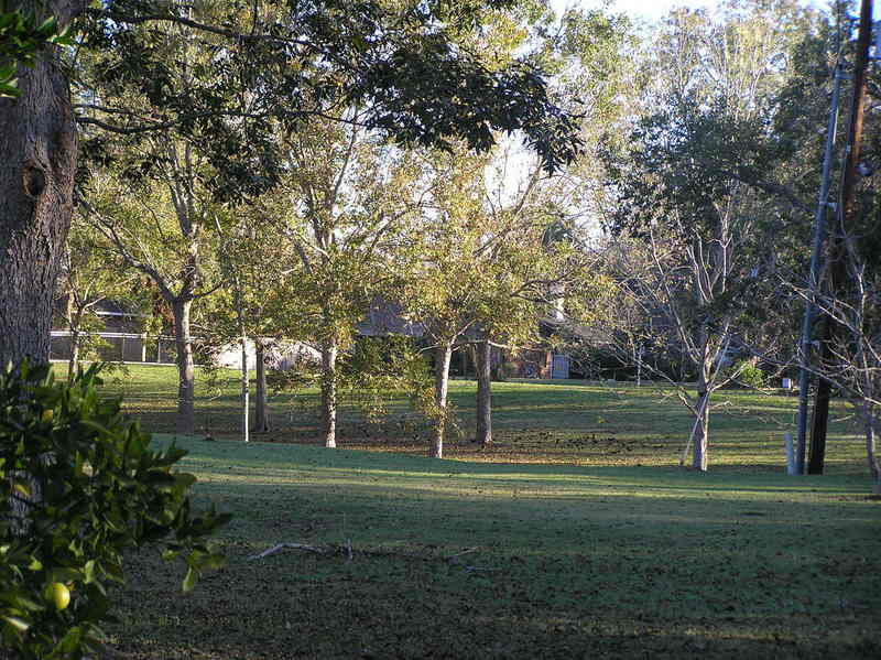 View to the northeast from the confluence.