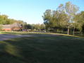 #9: View to the north from about 8 meters east of the confluence.