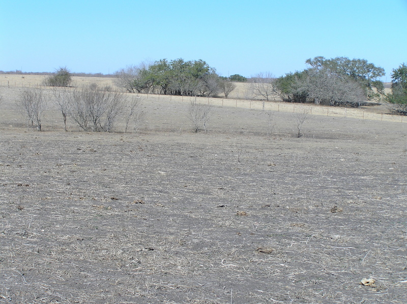 View of the confluence of 29 North 98 West, looking north-northeast.