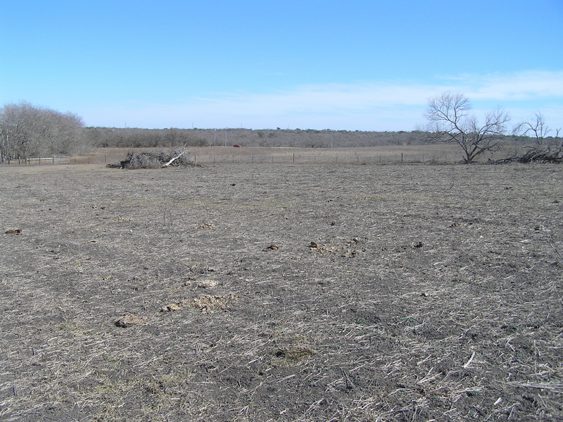 View to the south from the confluence.