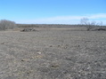 #3: View to the south from the confluence.