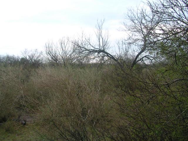 Looking north