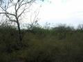 #4: Looking west