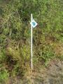 #5: The confluence marker