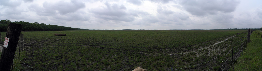 Panorama showing the field with the confluence