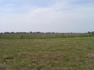 #1: View towards the confluence