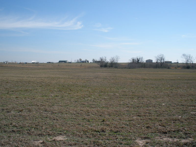 East view
