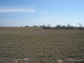 #2: East view