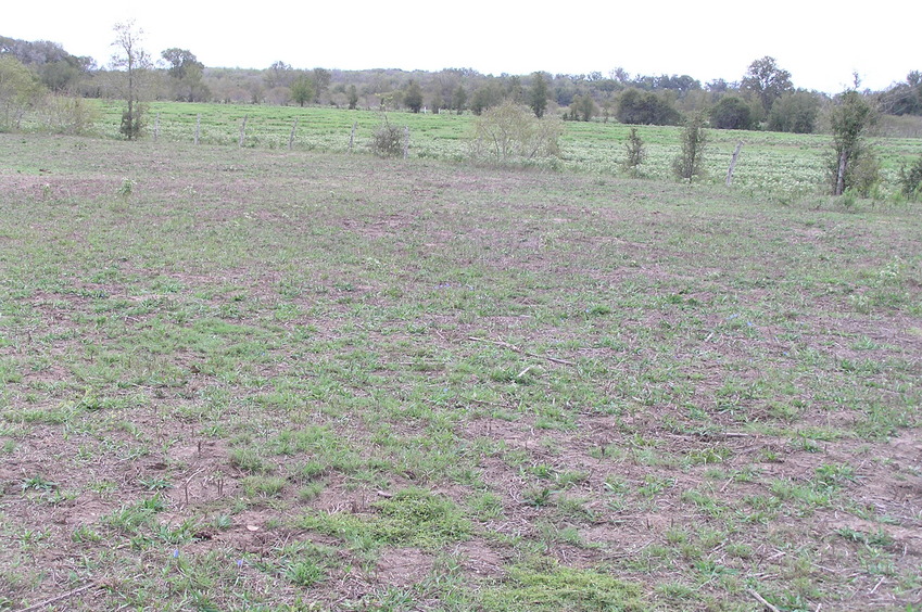 Site of the confluence, looking southeast, with the confluence point in the foreground.