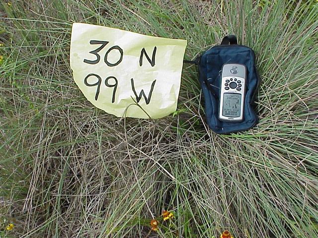 Ground cover in the clearing of the confluence.