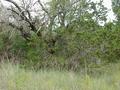 #2: View to the east from the confluence.