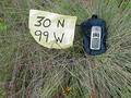 #6: Ground cover in the clearing of the confluence.