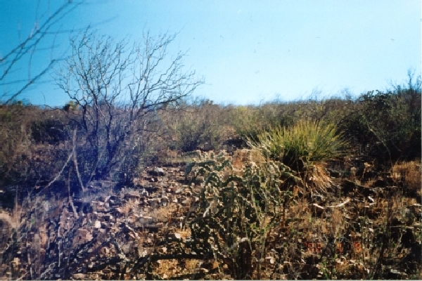 Looking east from confluence