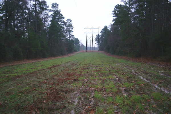 The ROW facing County Line Road.