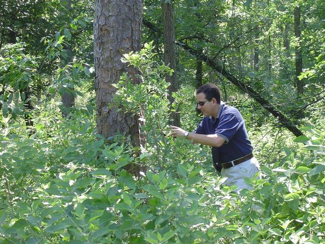 Carlos practicing the confluence dance.  The tree is at the confluence