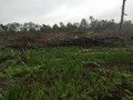 #6: View to the east from the confluence.