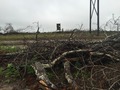 #8: View to the west from the confluence. 