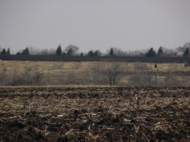 The tree line where the confluence is located is seen in the distance.