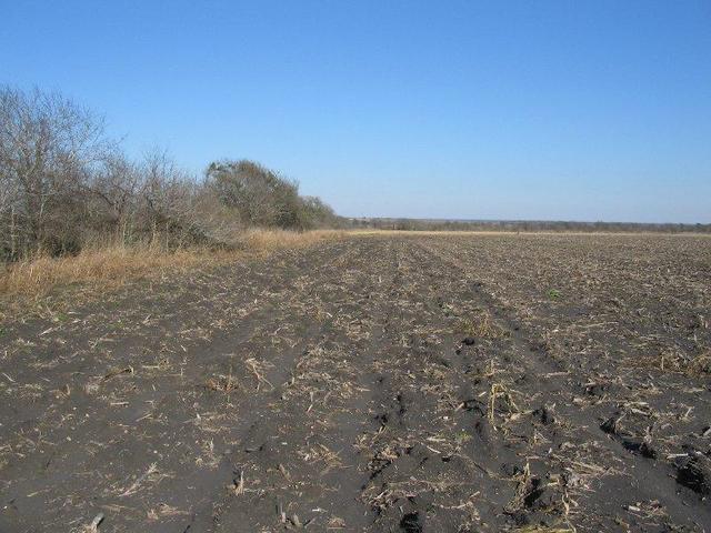 Looking east toward US77