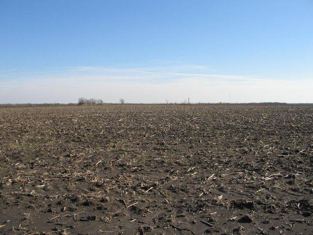 Looking south across field