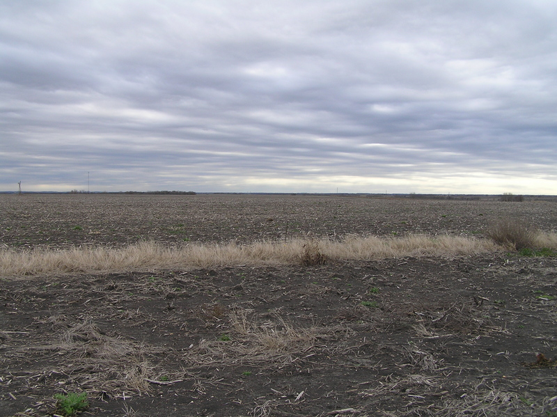 View to the south from the confluence. 