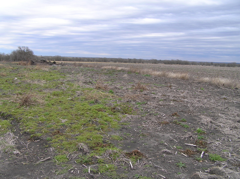 View to the east from the confluence.