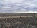 #6: View to the south from the confluence. 