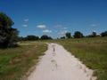 #2: Hill Country Road